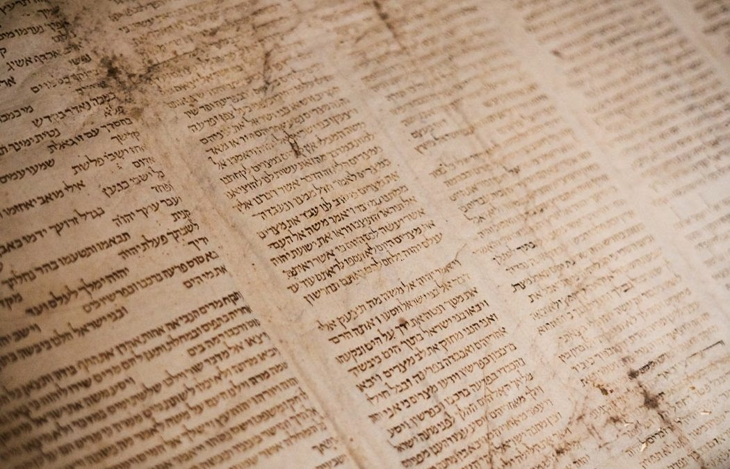 New Text Fabric Module The Dead Sea Scrolls Eep Talstra Centre For Bible And Computer Экзистенциализм) (вошли в сборник «улица.