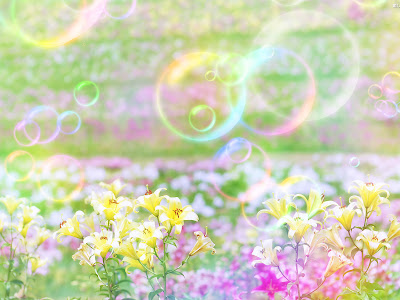癒し 画像 花 335117-花 かわいい 癒し 画像