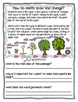 science comprehension worksheets for grade 1 search iconic