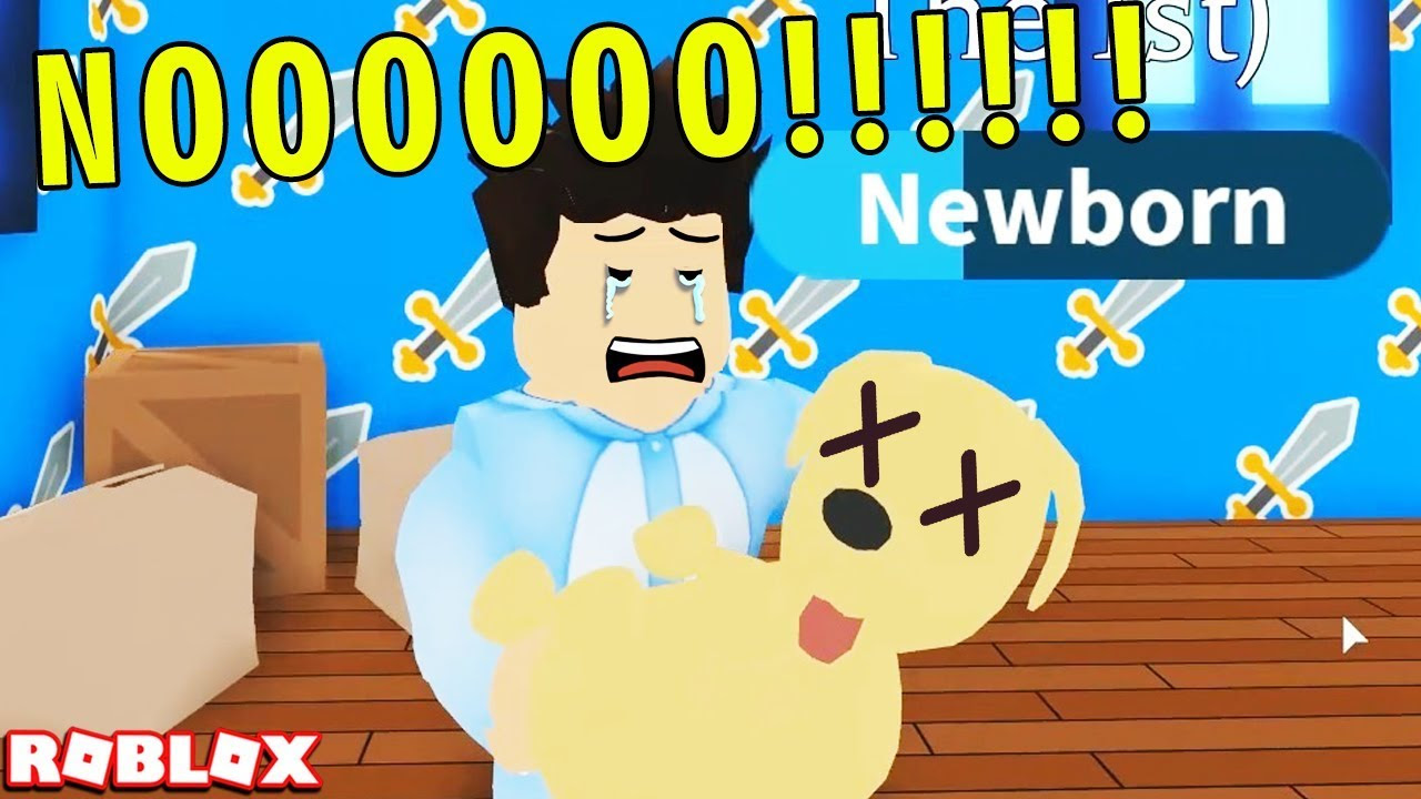 My Pet Dragon Tried To Eat Me In Adopt Me Roblox | Robux ...