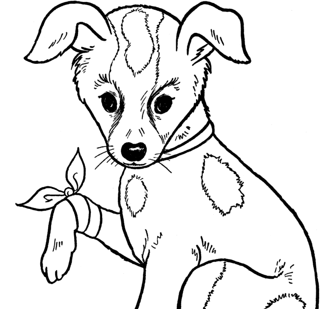 Cute Puppy Coloring Pages For Adults : 331 best images about Coloring