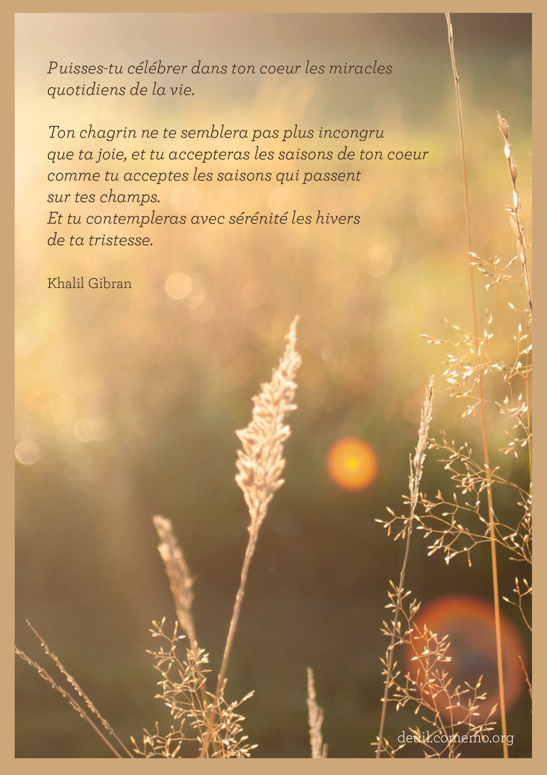 Citation Sur La Famille Cousine