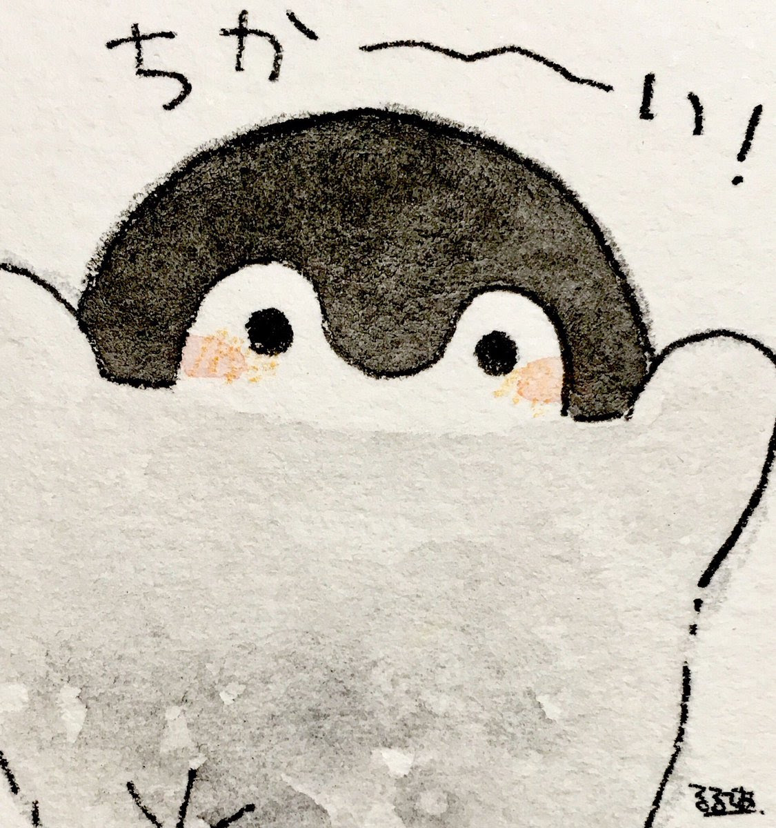 元のこうぺんちゃん 壁紙 最高の花の画像