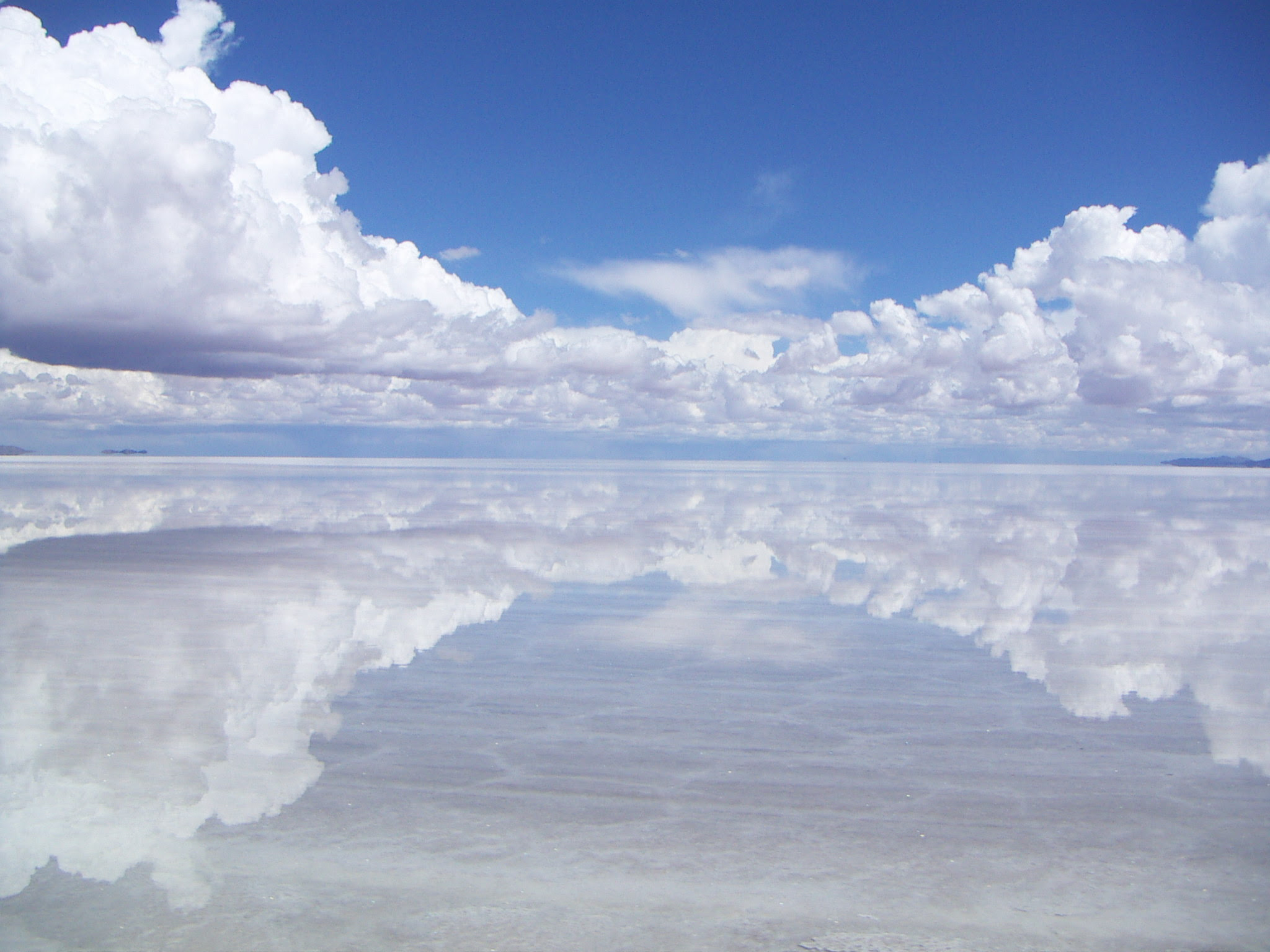 ユニーク世界 絶景 壁紙 高画質 すべての美しい花の画像