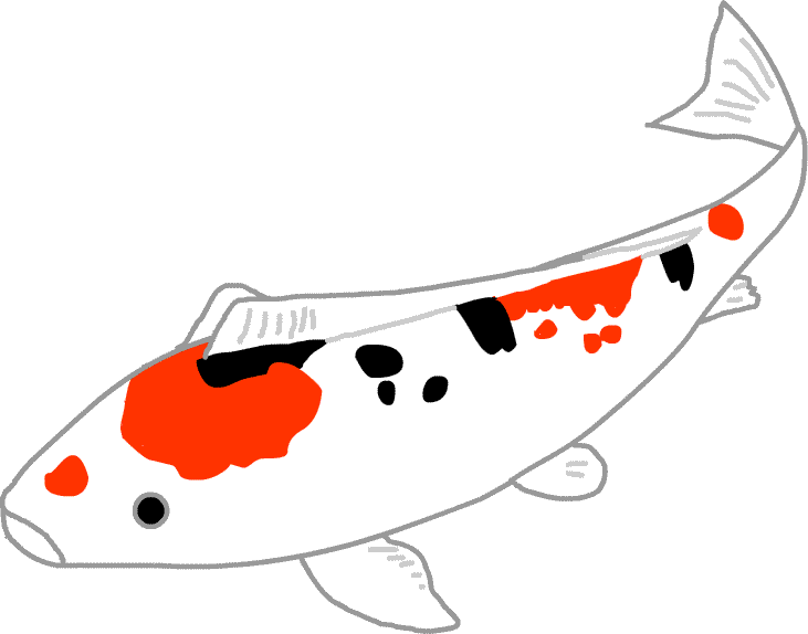 人気ダウンロード 鯉 イラスト 無料 鯉 イラスト 無料 白黒