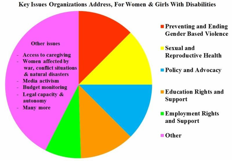 Key issues organizations address_ for women and girls with disabilities. Pie chart indicates about one-eighths of respondents address Preventing and ending gender based violence_ another one eight on sexual and reproductive health_ another eighth on policy and advocacy_ another eigth on education rights and support_ a smaller segment on employment rights and support. The rest is focused on a wide range of other issues including access to caregiving_ women affected by war_ conflict situations and natural disasters_ media activism_ budget monitoring_ legal capacity and autonomy_ and many more