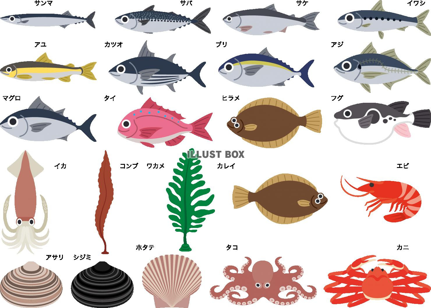 魚 イラスト かわいい 簡単