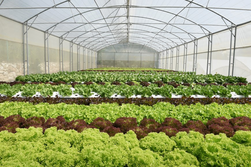 Materials needed build aquaponics system Global Vertical Farming Market Analysis Repot 2021-2028 Featuring BrightFarms, Everlight Electronics and Green Sense Farms - ResearchAndMarkets.com