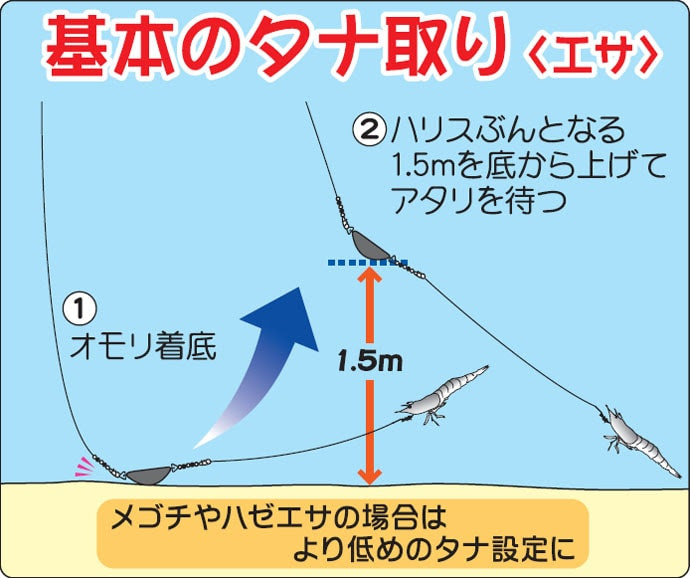 トップ100 マゴチ 釣り方 魚のすべて