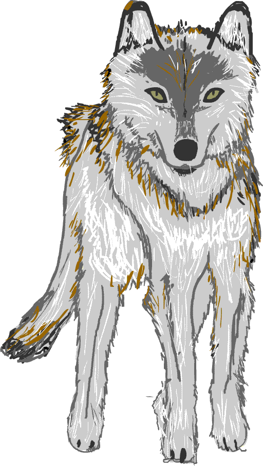 すべての動物の画像 最新のhdオオカミ 犬 イラスト かっこいい