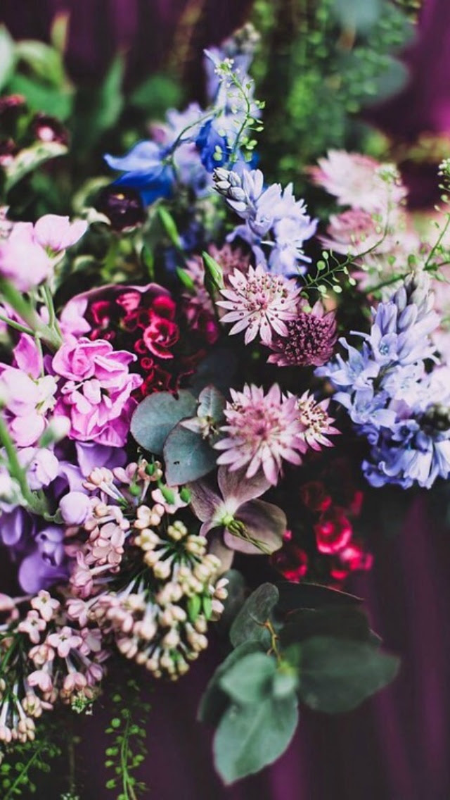 トップ100 花 Iphone 壁紙 花の画像