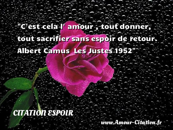 Image De Citation Citation Damour Et Espoir