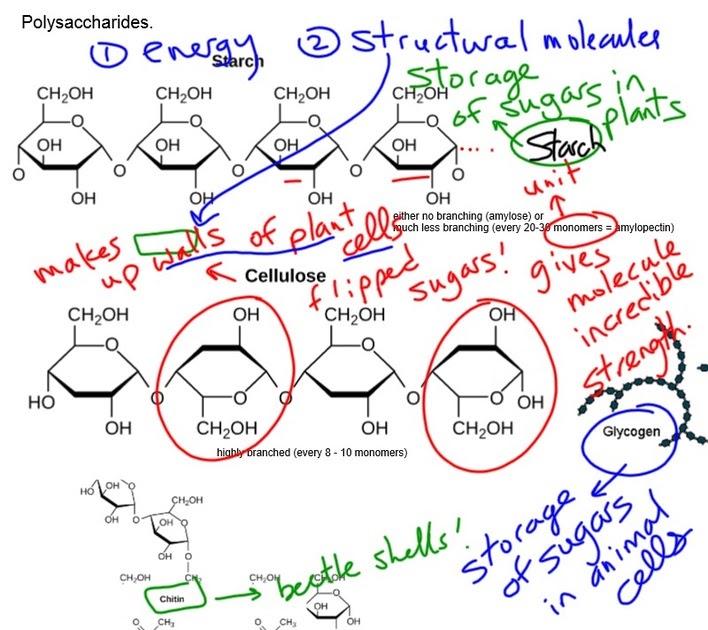 Sticky Molecules Answers / Is water sticky? - Surface ...