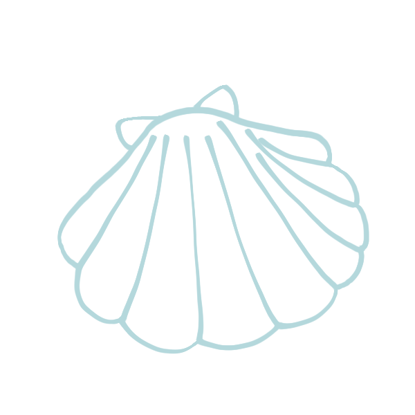 ベスト かわいい アリエル 貝殻 イラスト ここで最高の画像コレクション