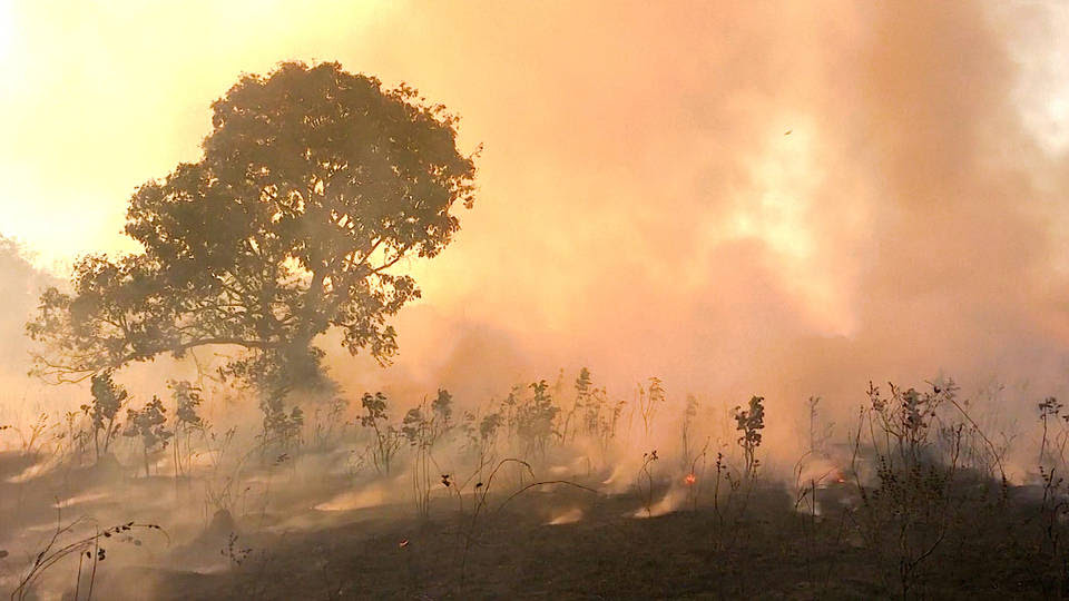 H3 brazil archbishops catholic amazon fires rainforest erwin krautler roque paloschi