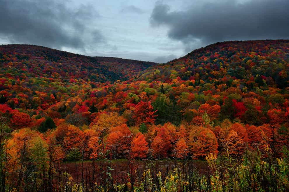 http://www.lovethesepics.com/2013/10/american-the-beautiful-in-autumn-peak-fall-foliage-dates-for-48-states-50-pics/