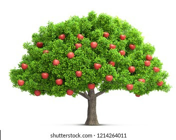 622,588 Apple tree Images, Stock Photos & Vectors | Shutterstock