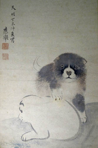 画像 円山応挙 犬 円山応挙 犬種 Mywalljpsip