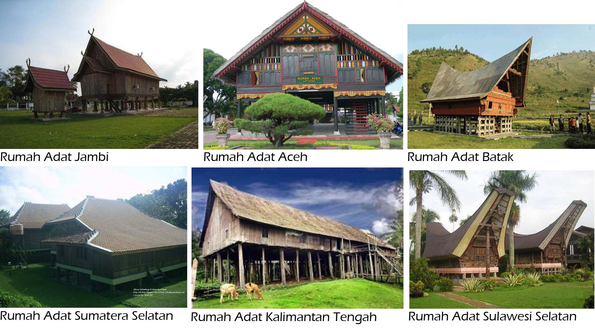 Gambar Gambar Rumah Adat Tanah Toraja - Gontoh