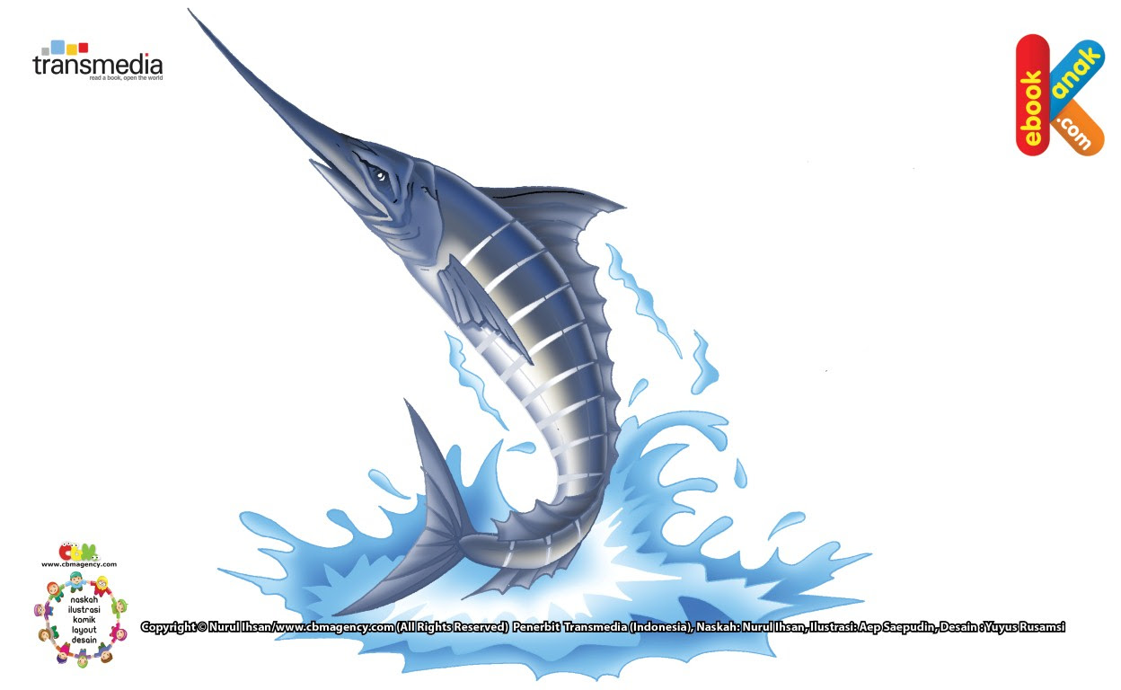Gambar Ilustrasi Tentang Ikan Hilustrasi