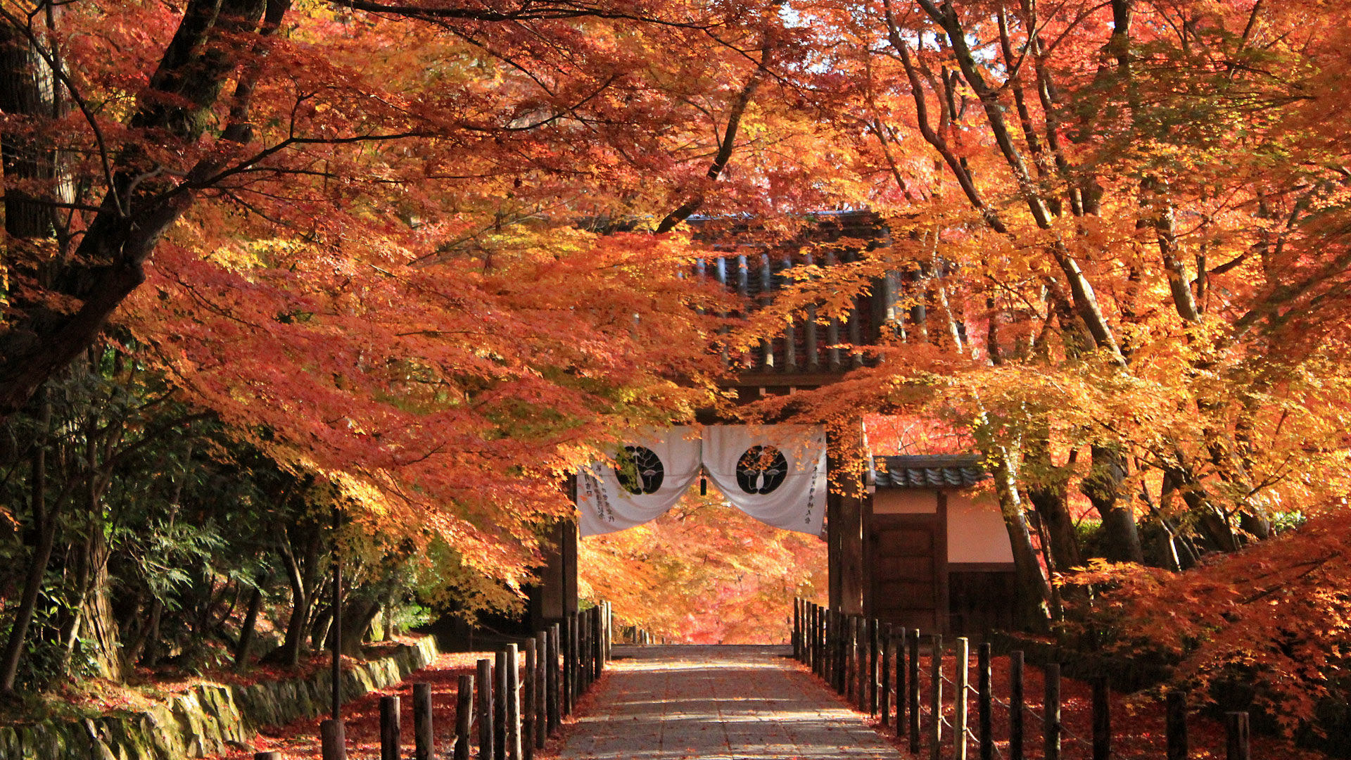 完了しました 京都紅葉壁紙5998 京都紅葉壁紙